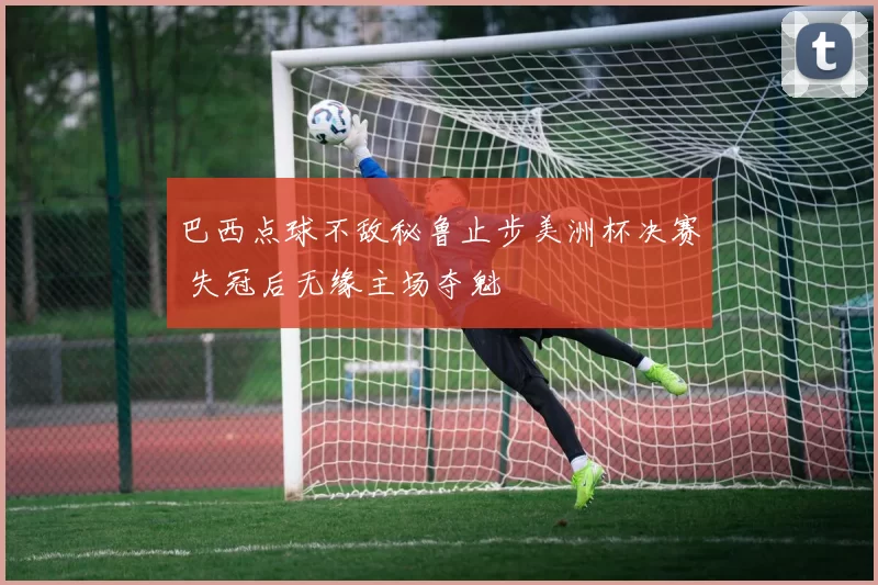 巴西点球不敌秘鲁止步美洲杯决赛 失冠后无缘主场夺魁