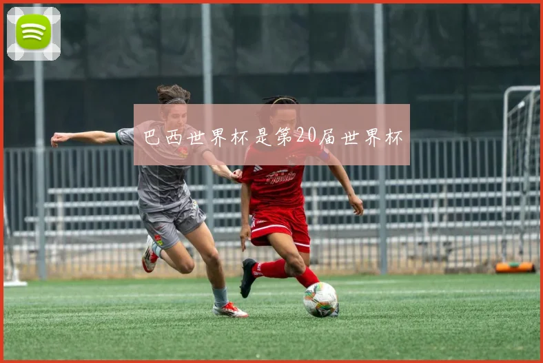 巴西世界杯是第20届世界杯