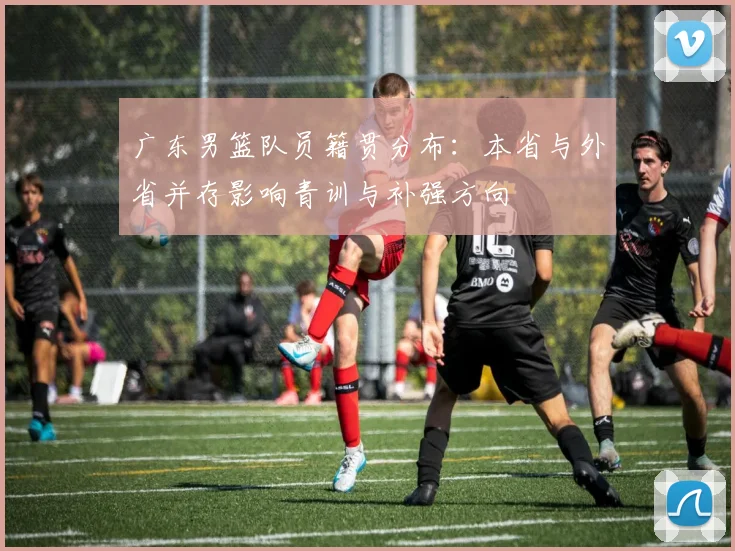 广东男篮队员籍贯分布：本省与外省并存影响青训与补强方向